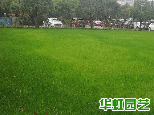 金磊婚慶廣場案例實(shí)景