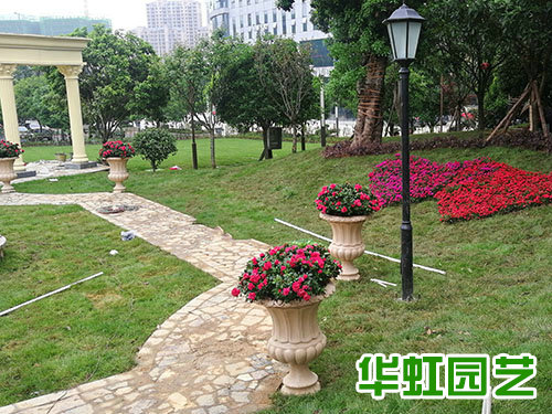 金磊婚慶廣場案例實(shí)景