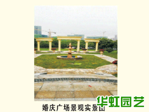 金磊婚慶廣場案例實(shí)景