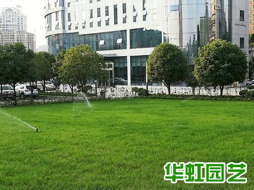 金磊婚慶廣場案例實(shí)景